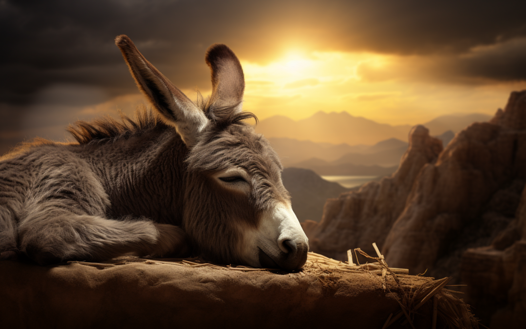 Blog Article: 'Dream Interpretation Donkey'