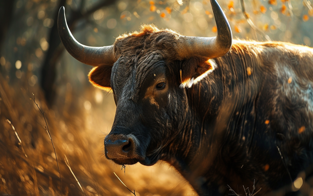 Unlocking Bull Dream Meaning: Strength, Fertility, and More
