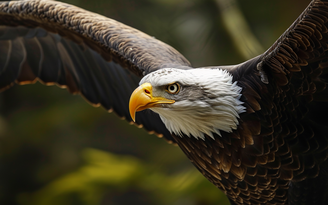 Eagle Dream Meaning: Unraveling Spiritual Symbols
