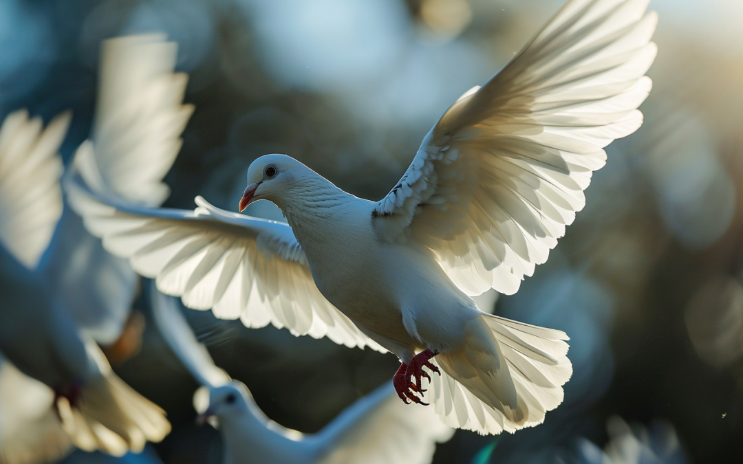 Unlocking Grey Dove Dream Meanings: Peace & Change
