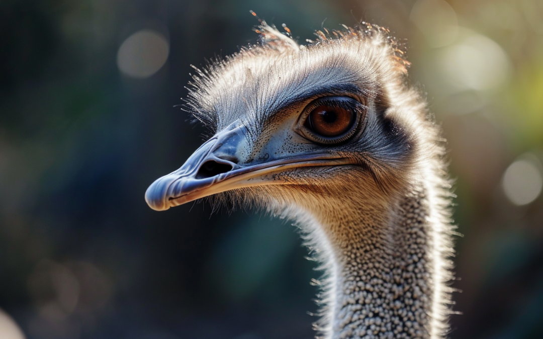 Unlocking Ostrich Dream Meanings: Symbols & Messages