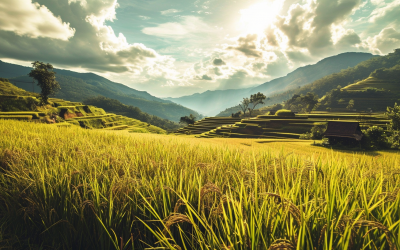 Unveiling Rice Dream Meaning: Plate Symbols & Ties